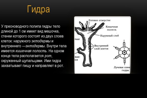 Кракен не работает сегодня